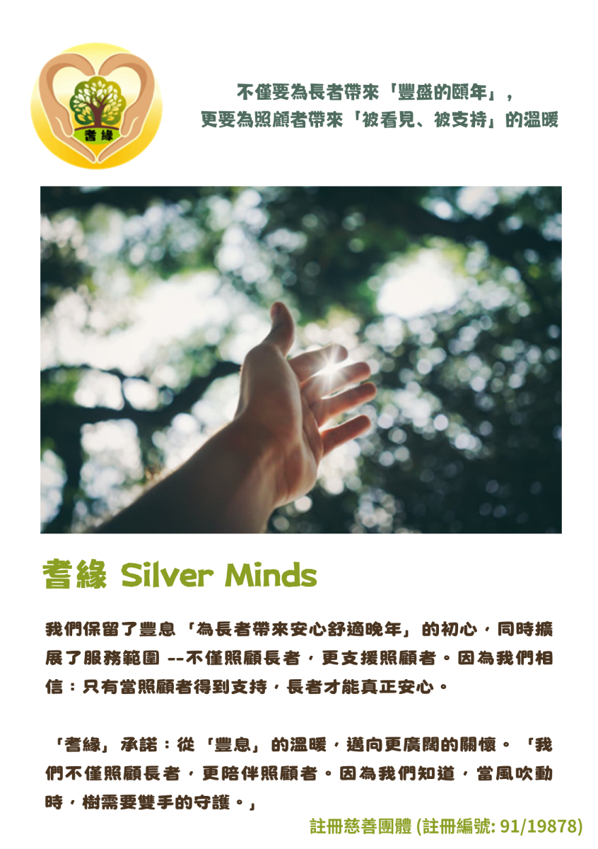 Silver Minds Company