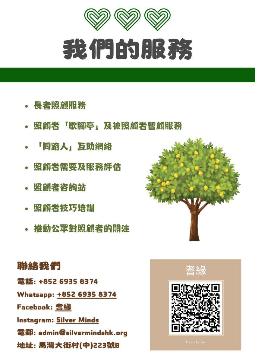 Silver Minds Company